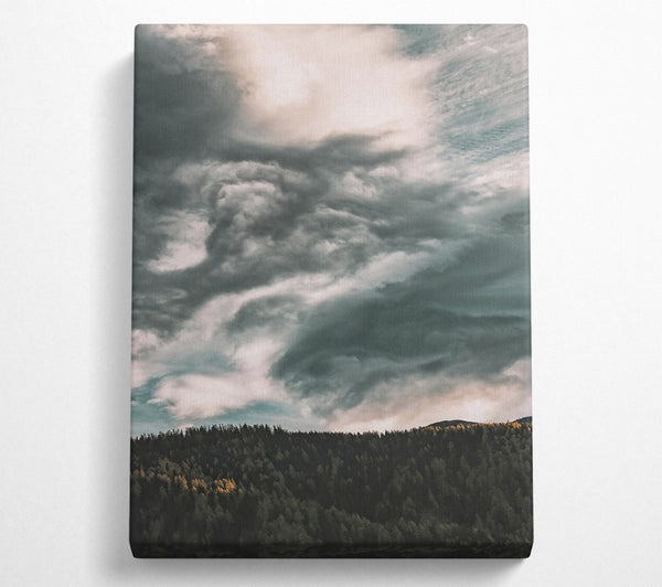 Gray Clouds Over Forest