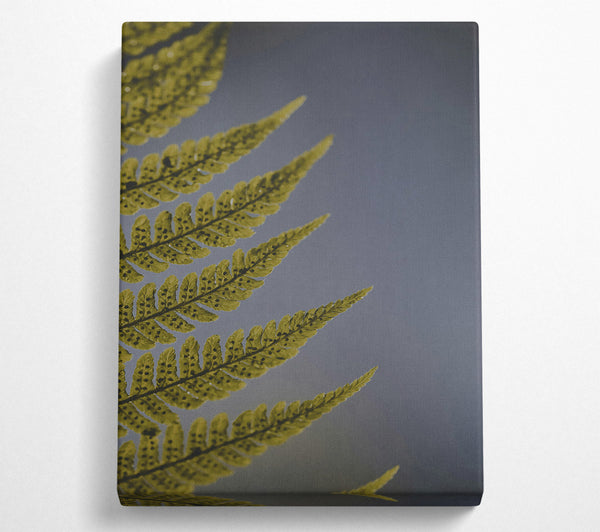 Golden Fern Fronds