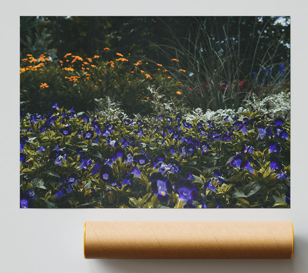 Indigo Flower Field