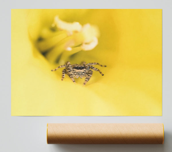 Yellow Flower Hunter