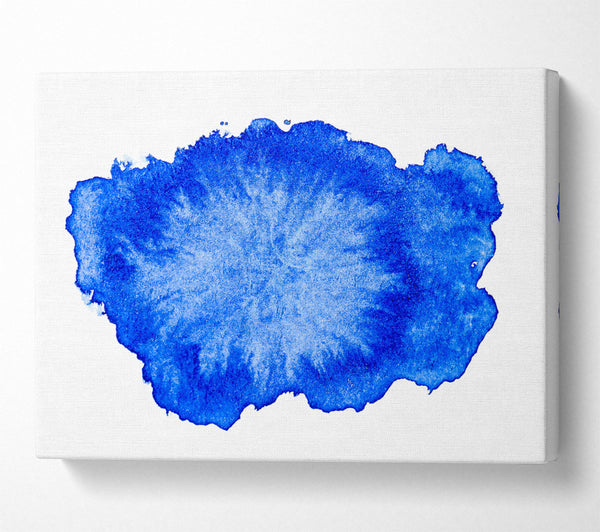 Cobalt Blue Bloom