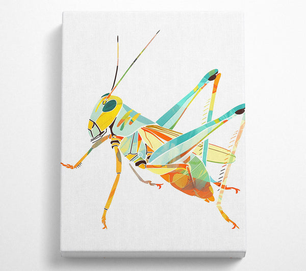 Yellow Leaping Grasshopper