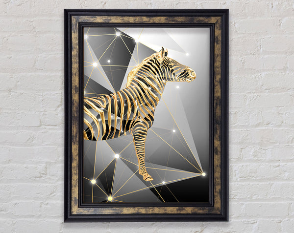 Gold Zebra