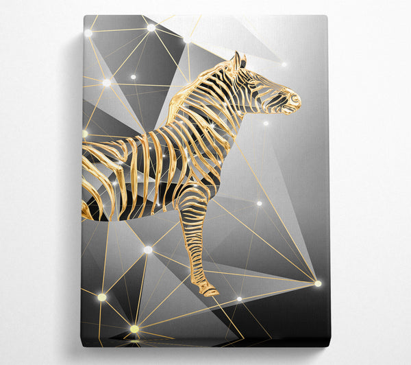 Gold Zebra