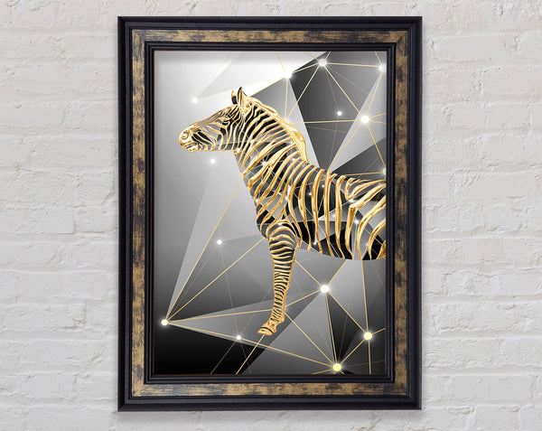 Golden Zebra