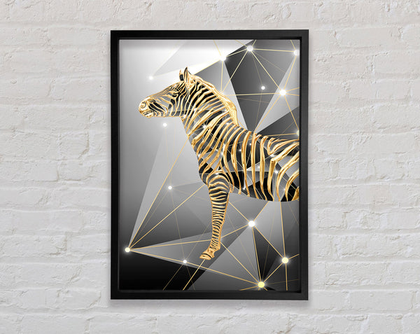 Golden Zebra