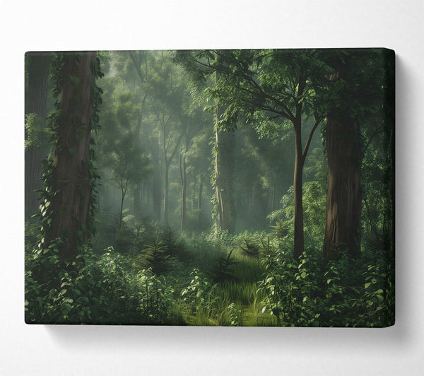 Green Dense Forest