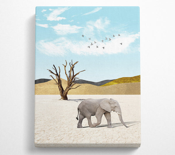 Grey Elephant In Dessert