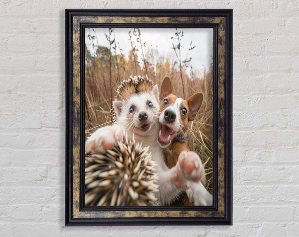 Hedgehog And Dog Selfie