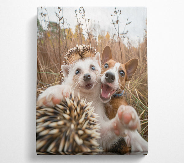 Hedgehog And Dog Selfie