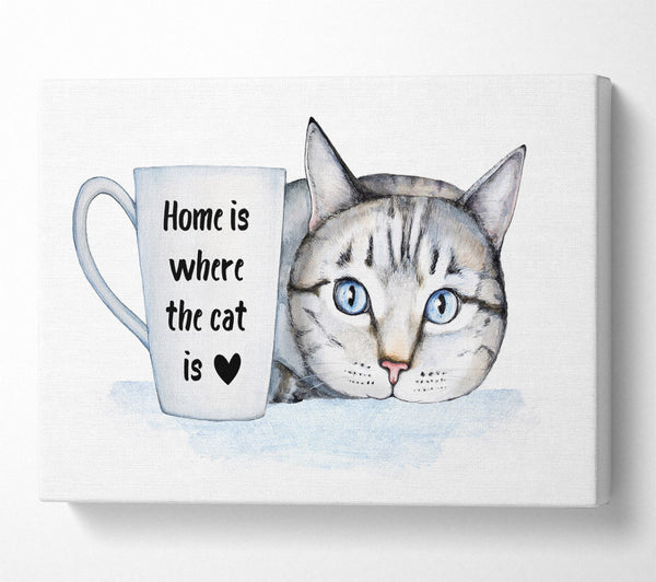 Home Is Where The Cat Is