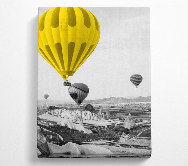 Hot Air Balloon