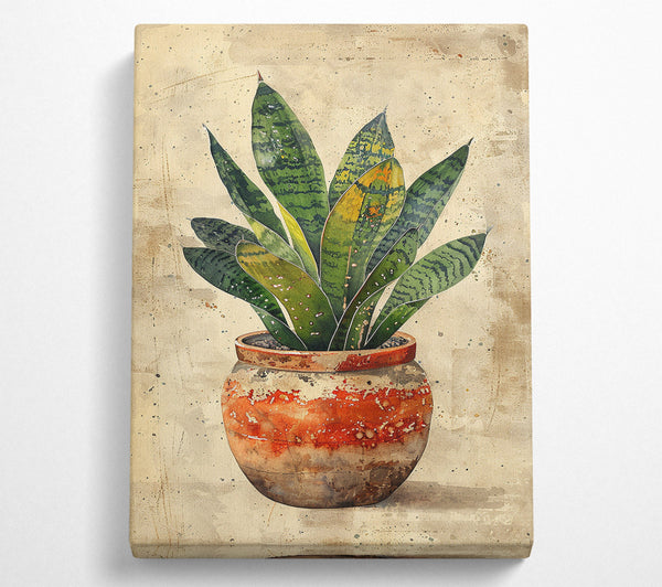 House Plant Ceramic