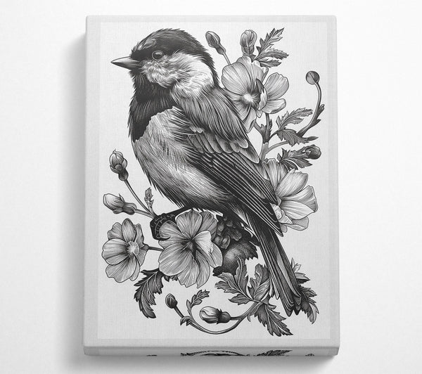 Intricate Black And White Bird