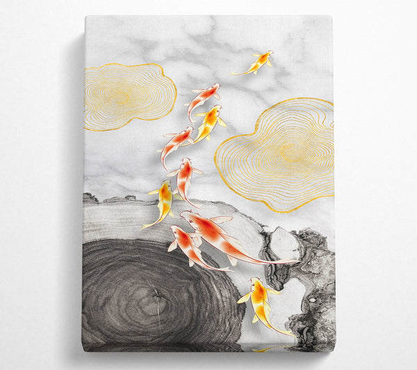 Koi Fish Swimming