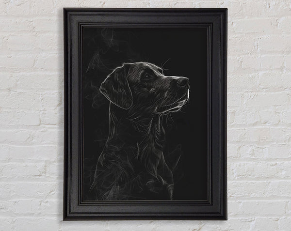 Labrador Black