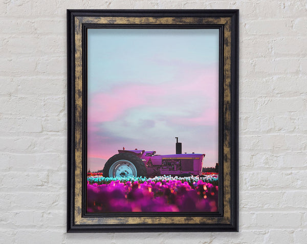 Lilac Tractor