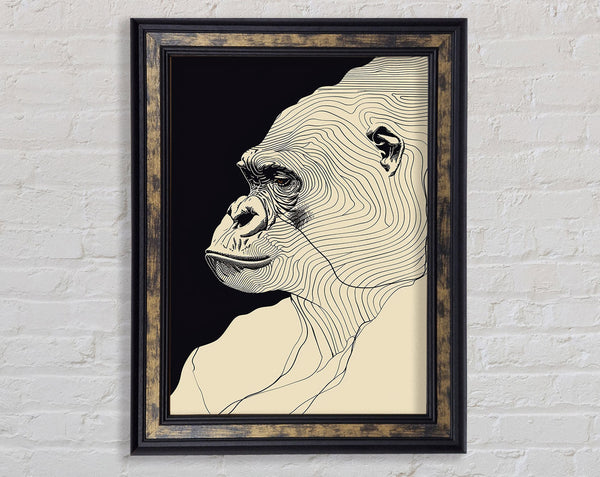 Lines Of. Gorilla