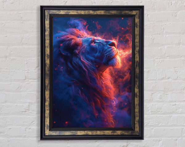 Lion Looking To The Stars