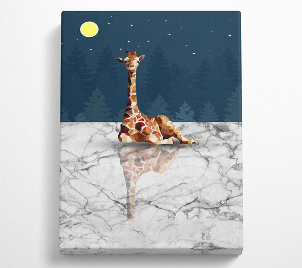 Midnight Giraffe