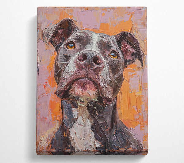 Oil Painting Pitbull