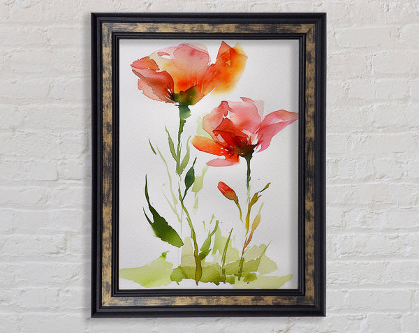 Orange Flowers In Watercolour