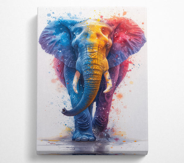 Paint Explosion Elephant