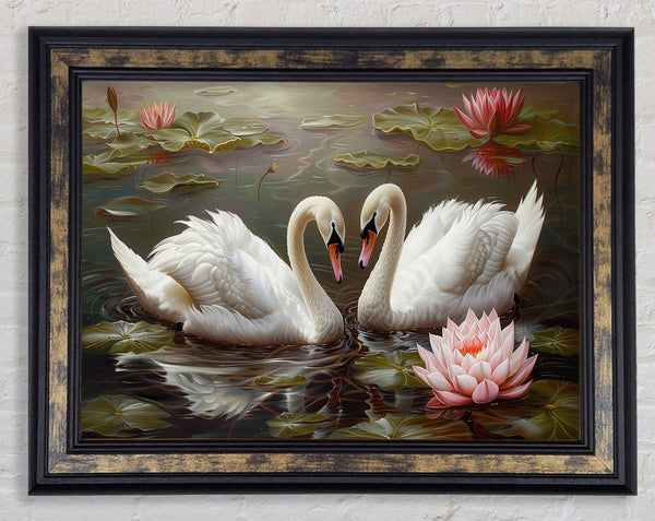 Pair Of Swans