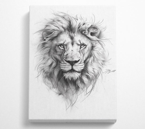 Pencil Lion