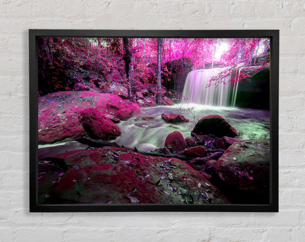 Pink Blossom Waterfall