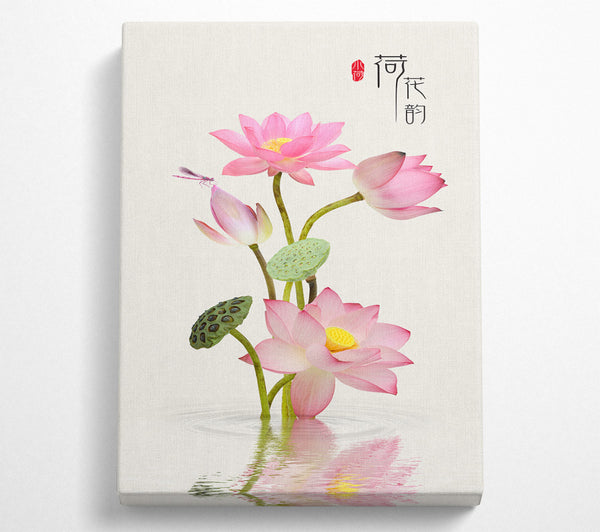 Pink Flower In Water