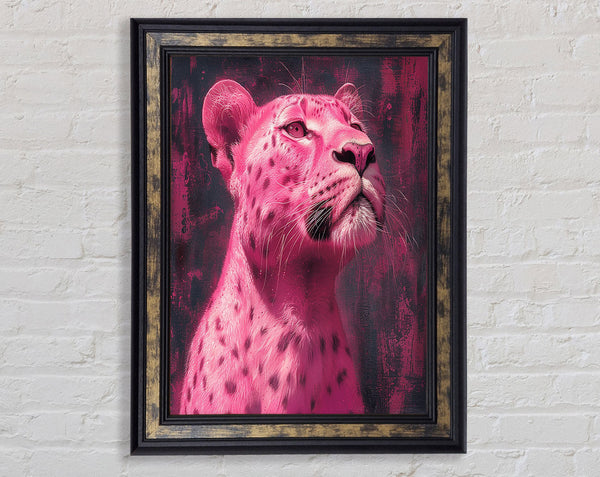 Pink Lioness