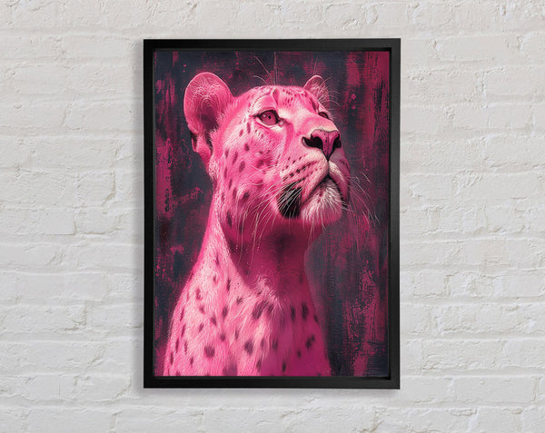 Pink Lioness