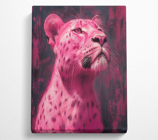 Pink Lioness