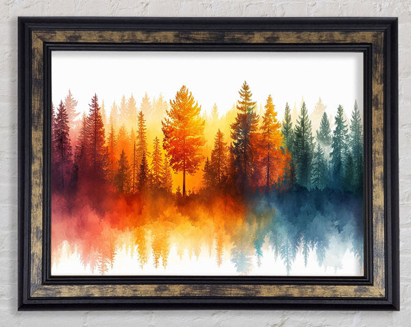 Rainbow Forest