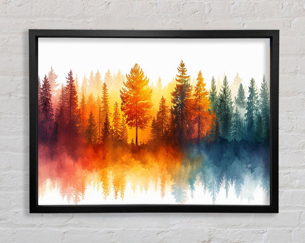 Rainbow Forest