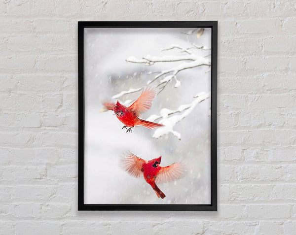 Red Cardinals Snow