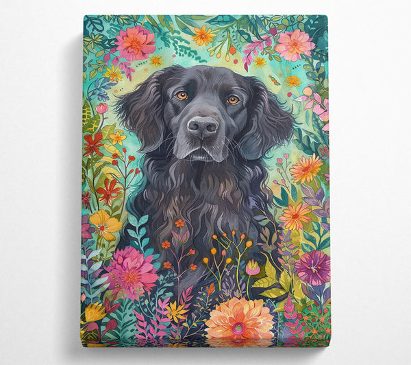 Retriever Flowers