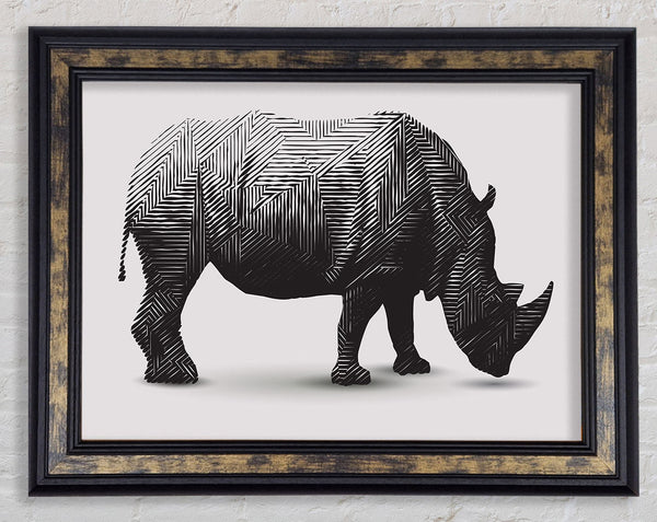 Rhino Lines