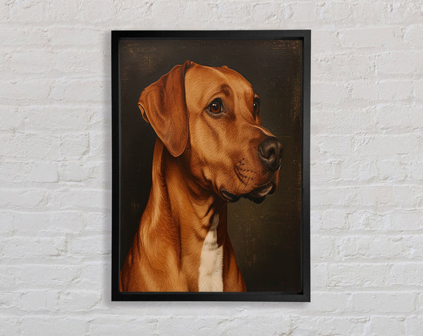 Rhodesian Ridgeback Oil Painting