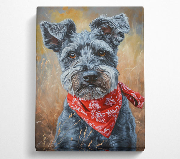 Schnauzer Bandana