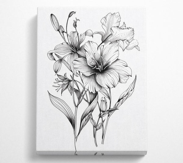 Sketch Flower