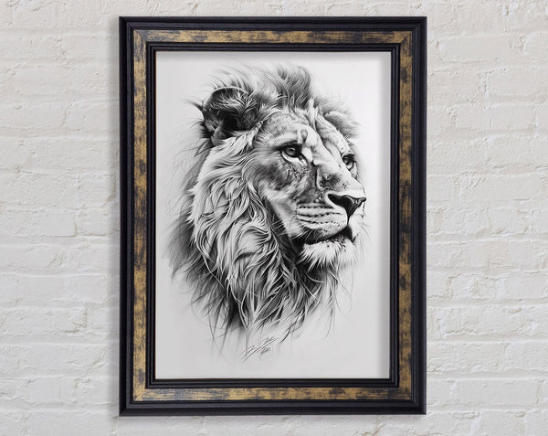 Sketch Of A Lion