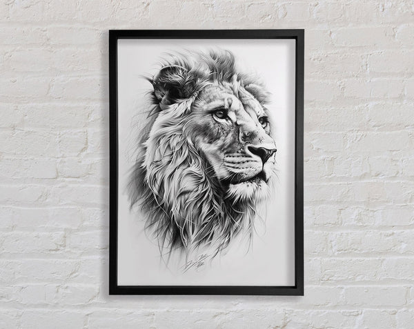 Sketch Of A Lion