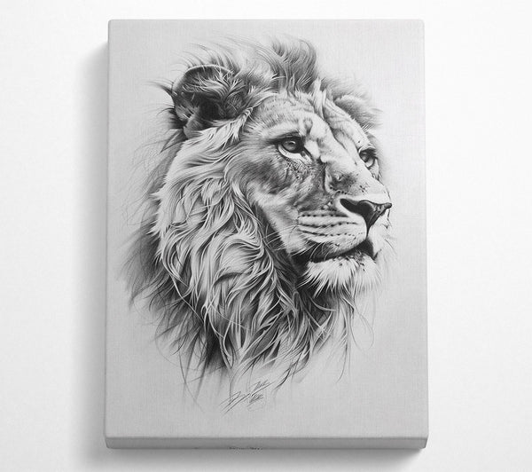 Sketch Of A Lion