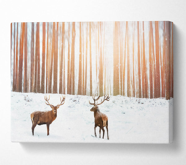 Stag Forest Snow