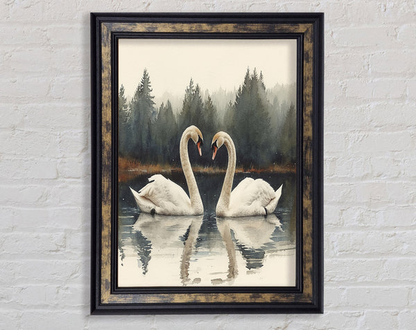 Swan Family