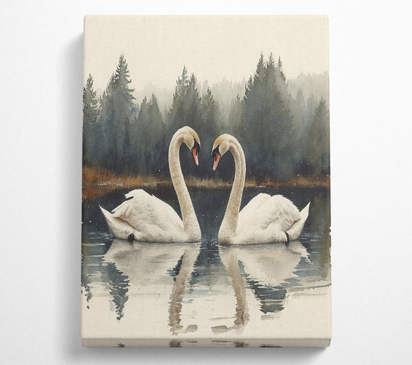 Swan Family