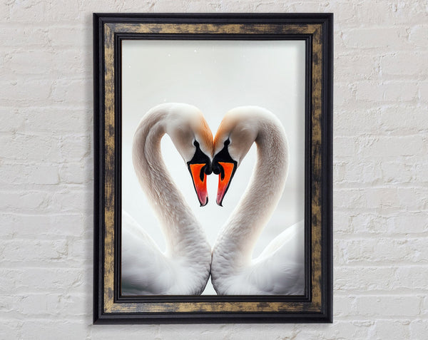 Swan Love Heart