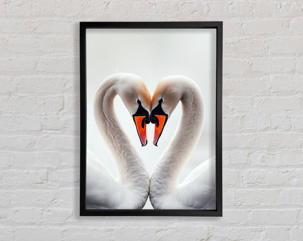 Swan Love Heart